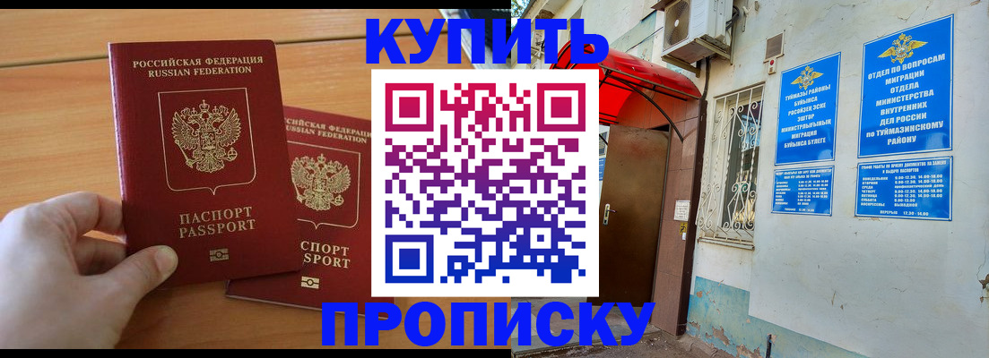 прописка штамп в Мончегорске